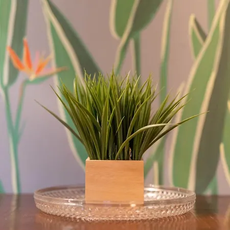 Lejlighed Il Garbo And *